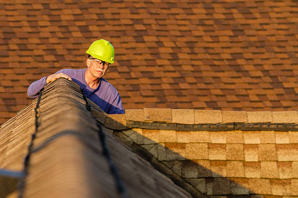 Best Storm Damage Roof Repair  in Spring Park, MN